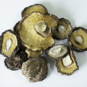 Shiitake deshidratado