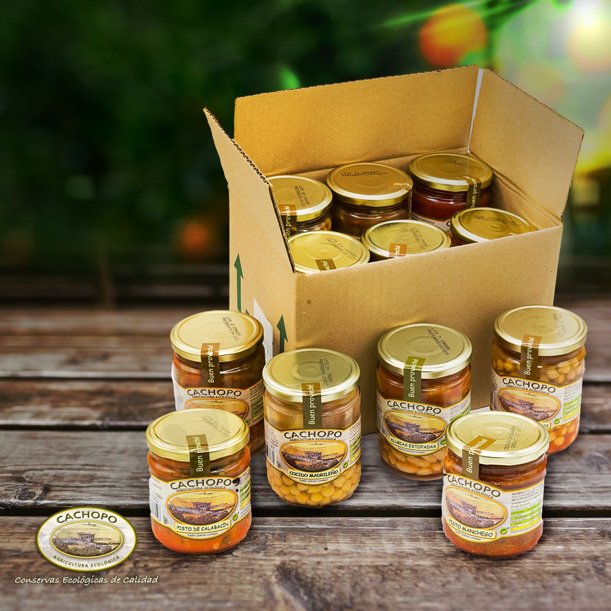 Lote ecológico de platos preparados conservas cachopo
