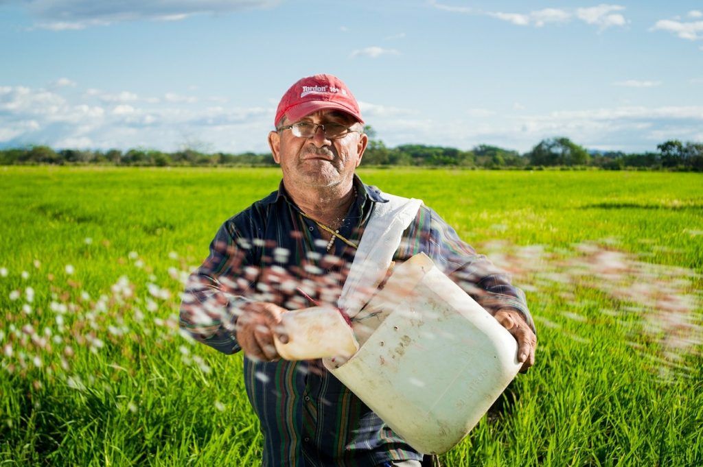 Del campo a tu casa. Mercado de productores. Compra al productor