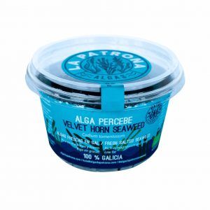 Alga Percebe Fresca en Sal