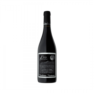 Vino Tinto Luis Saavedra