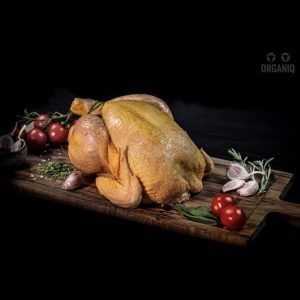 POLLO Ecológico por medios