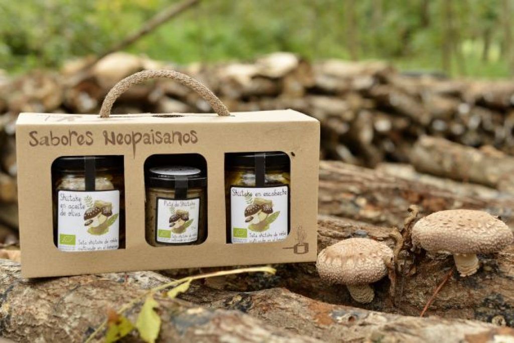 Pack de 3 Conservas de Shiitake de Roble ECO