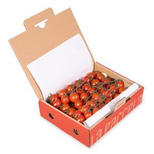 Tomate Cherry Rama 1Kg