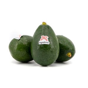 AGUACATE BACON – 4KG
