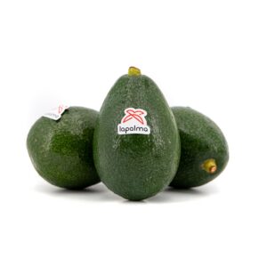 AGUACATE BACON – 4KG