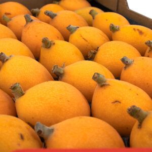 NÍSPORA – 2KG