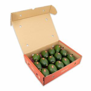AGUACATE BACON – 4KG