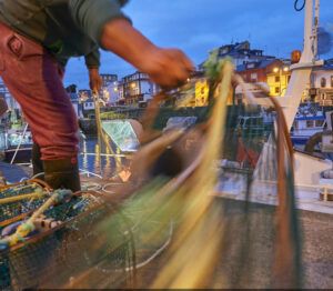 Del campo a tu casa. Mercado de productores. Compra al productor