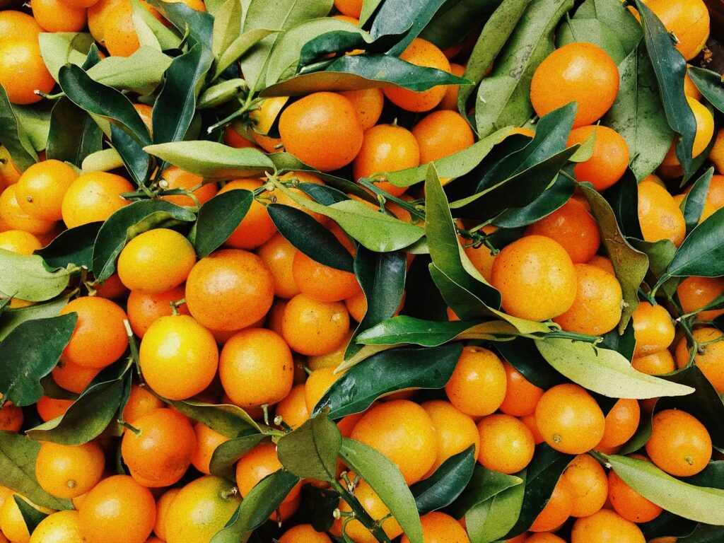 Del campo a tu casa. Mercado de productores. Compra al productor