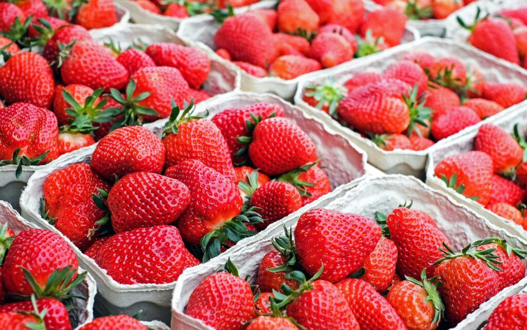 Fresas Marruecos Hepatitis A Crisis Sanitaria España