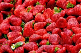 Alerta sanitaria fresas Marruecos España