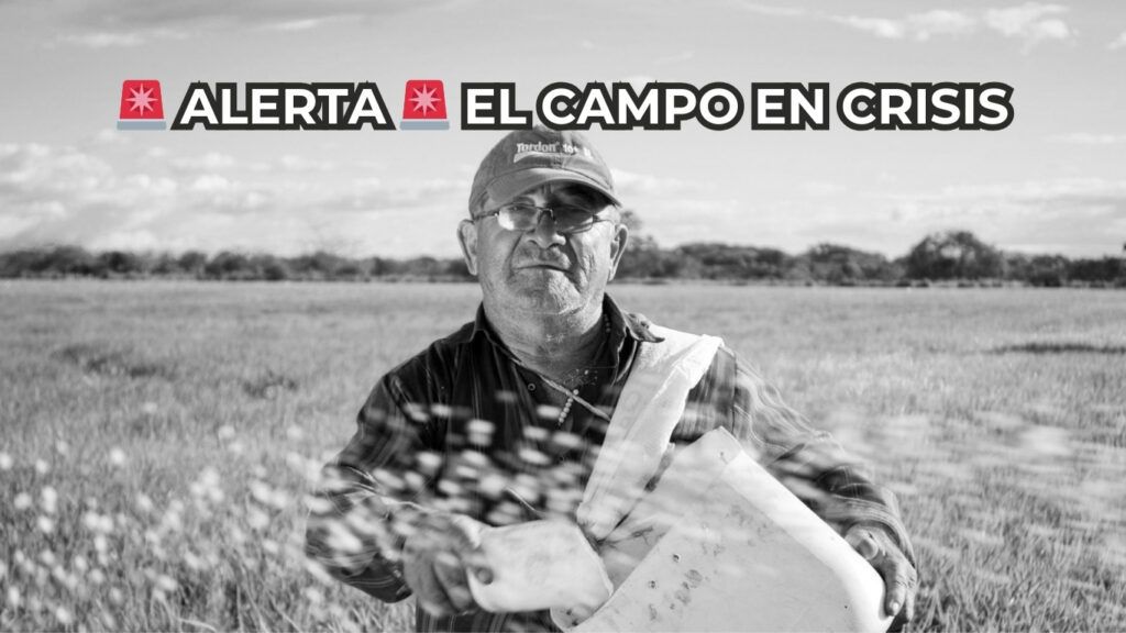 Alerta el campo español en crisis