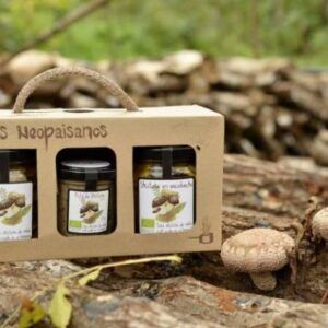 pack-conservas-shiitake-maitake-ecologicas