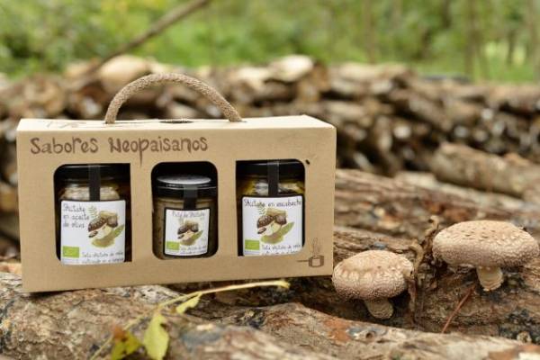 pack-conservas-shiitake-maitake-ecologicas