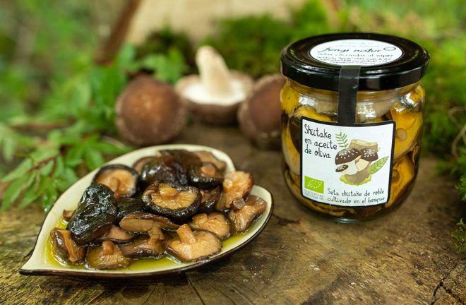 shiitake en aceite eco