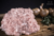 Carne picada de POLLO Ecológico 500g