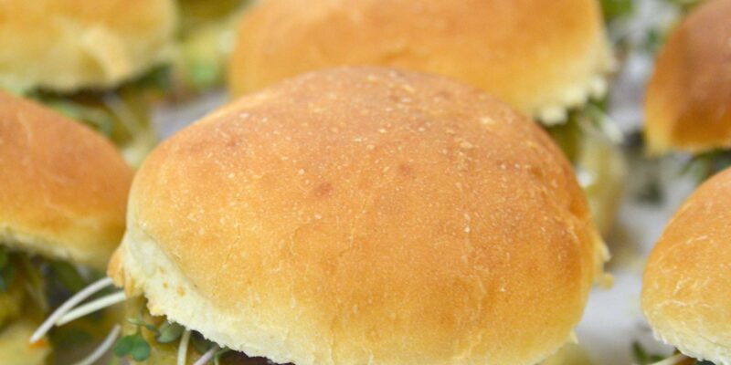 Mr. Greenish, Marine Plant-Based, una nueva categoría de productos