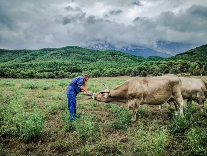 Solo producto nacional apoyemos al campo español