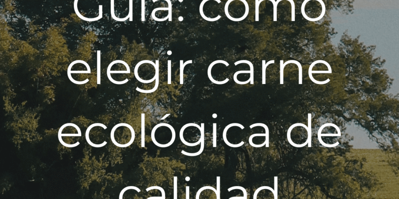 Guía Definitiva del Vacuno Ecológico: Cómo Elegir, Qué Comprar y Beneficios Reales