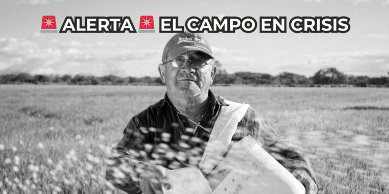 Productores que desaparecen: La crisis del campo en España