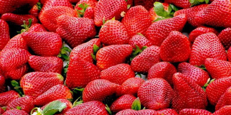 ¿Qué está pasando con las fresas? 3 puntos clave de la alerta sanitaria en España